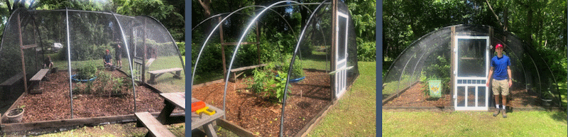The Butterfly House