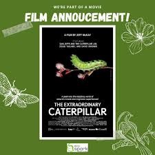 Caterpillar Caterpillar