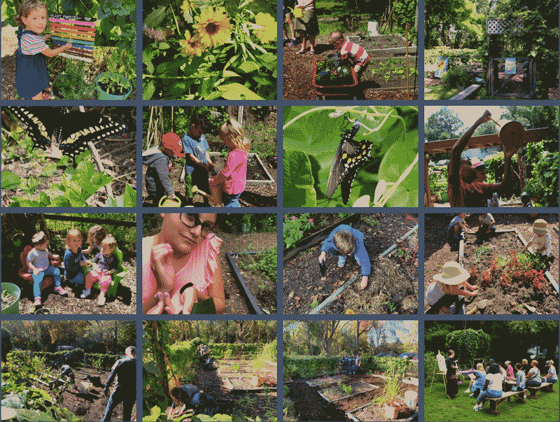 Children's Garden