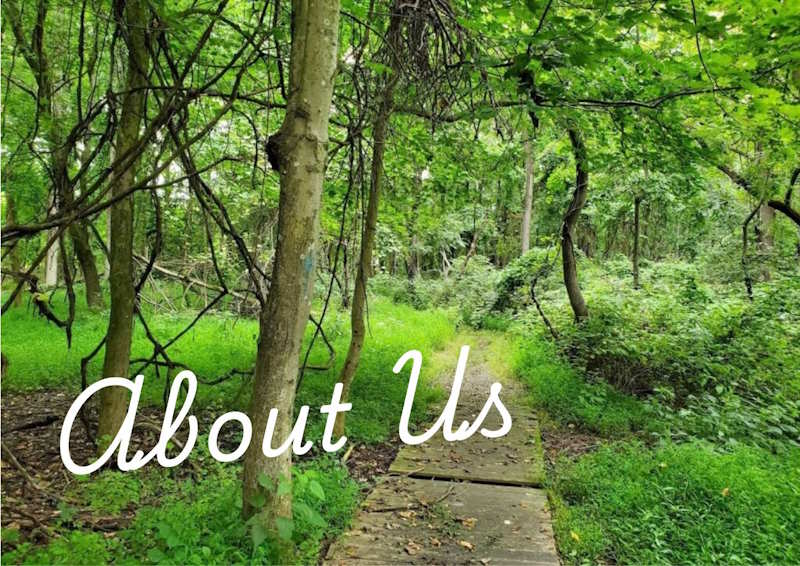 About Us