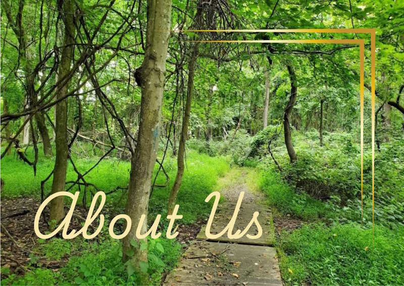 About Us