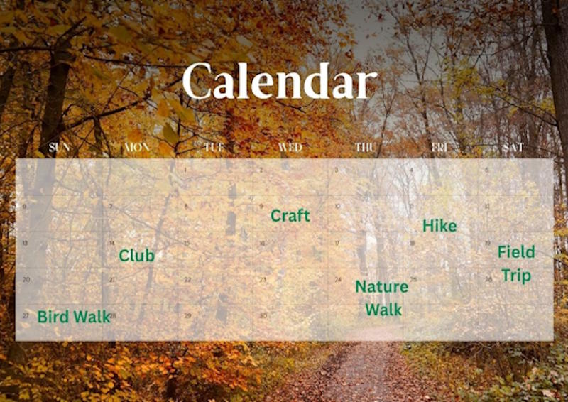 Calendar