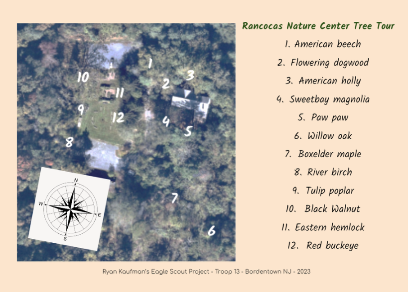 Tree Map Tour