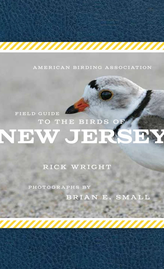 NJ Bird Guide Book NJ Bird Guide Book