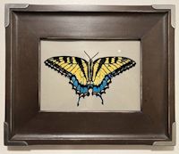 Butterfly Glass Art Butterfly Glass Art