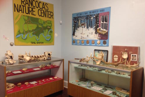 Museum Displays Museum Displays