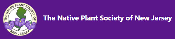 Native Plant Society