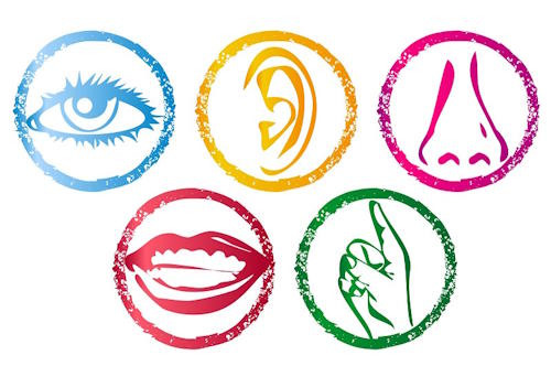 Our Senses Our Senses