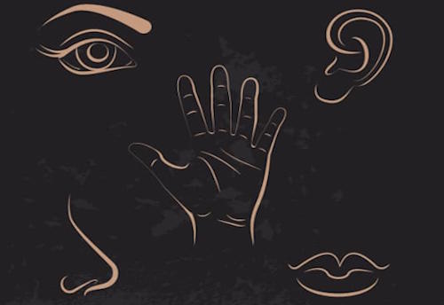 Senses Senses