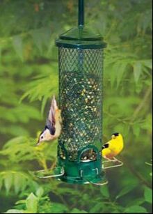 Squirrel Buster Mini