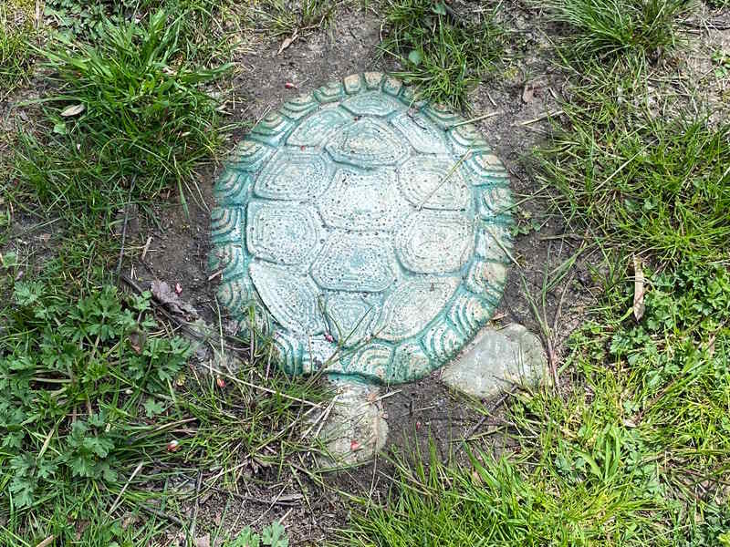 Turtle Stepping Stones & Mosaic