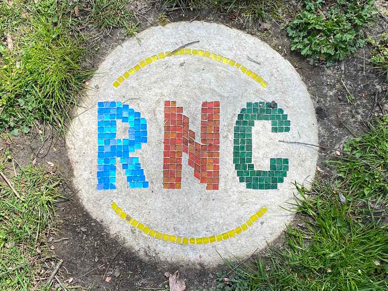 Turtle Stepping Stones & Mosaic